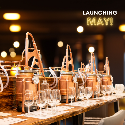 Rum & Gin School Experience